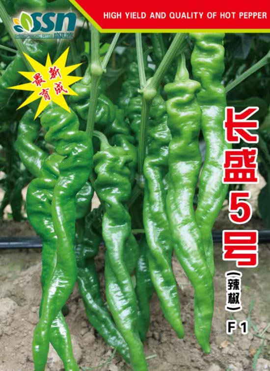 ʢ5